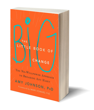 The Little Book of Big Change